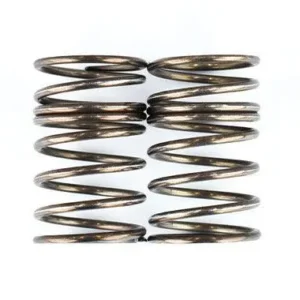 Rêve D - RDX rear springs (2pcs)
