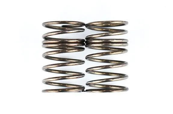 Rêve D - RDX rear springs (2pcs)